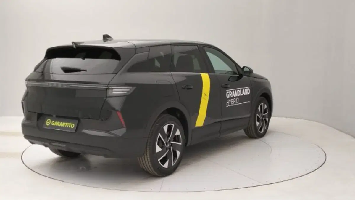Opel Grandland nuova a Torino (5)