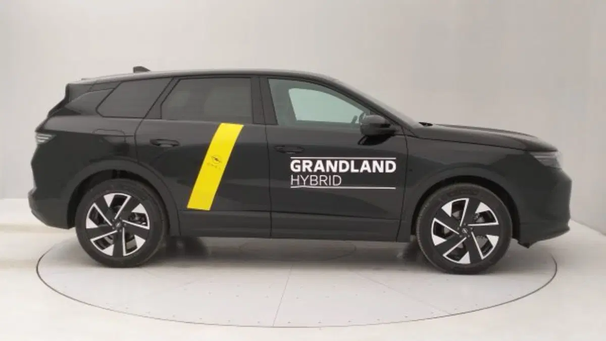 Opel Grandland nuova a Torino (6)