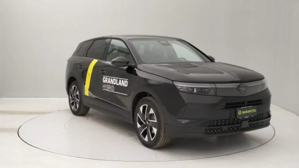 Opel Grandland nuova a Torino (7)