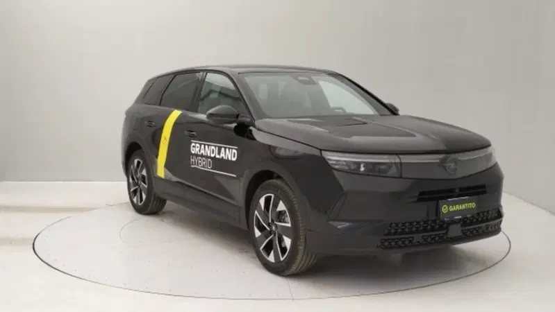 Opel Grandland nuova a Torino (7)
