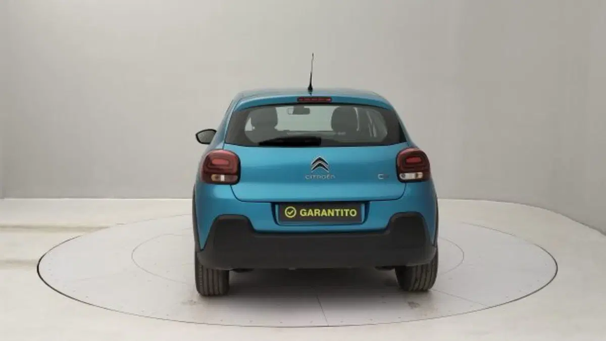 Citroen C3 usata a Torino (4)