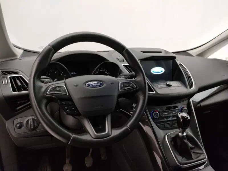 Ford C-Max usata a Torino (12)