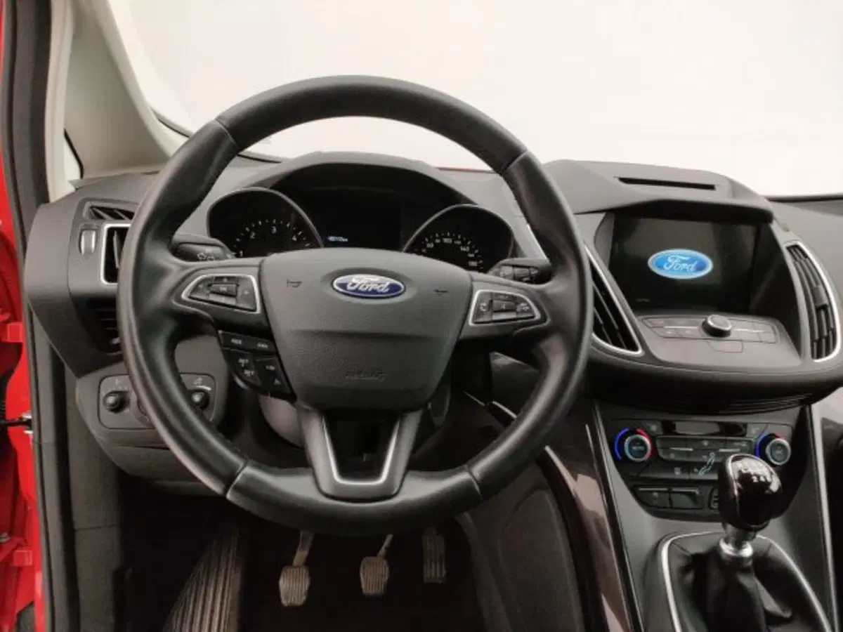Ford C-Max usata a Torino (14)