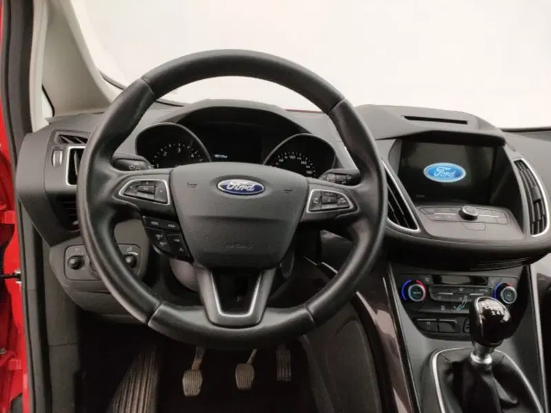 Ford C-Max usata a Torino (14)