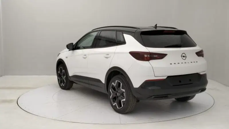 Opel Grandland nuova a Torino (3)