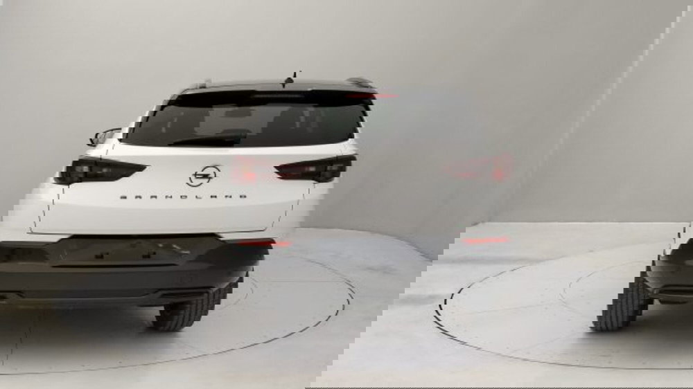 Opel Grandland nuova a Torino (4)