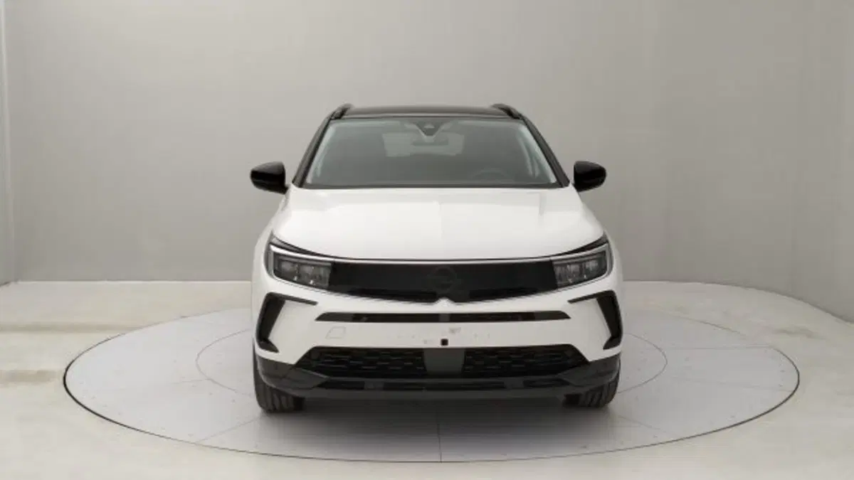 Opel Grandland nuova a Torino (8)