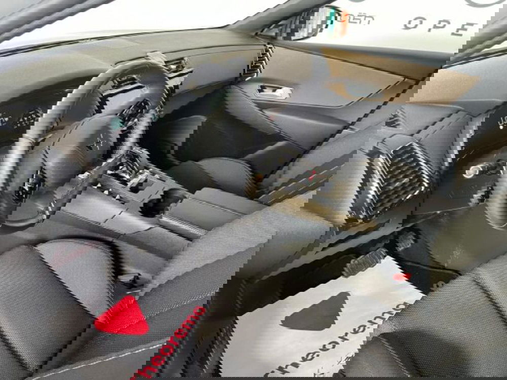 Ds DS 7 usata a Torino (15)