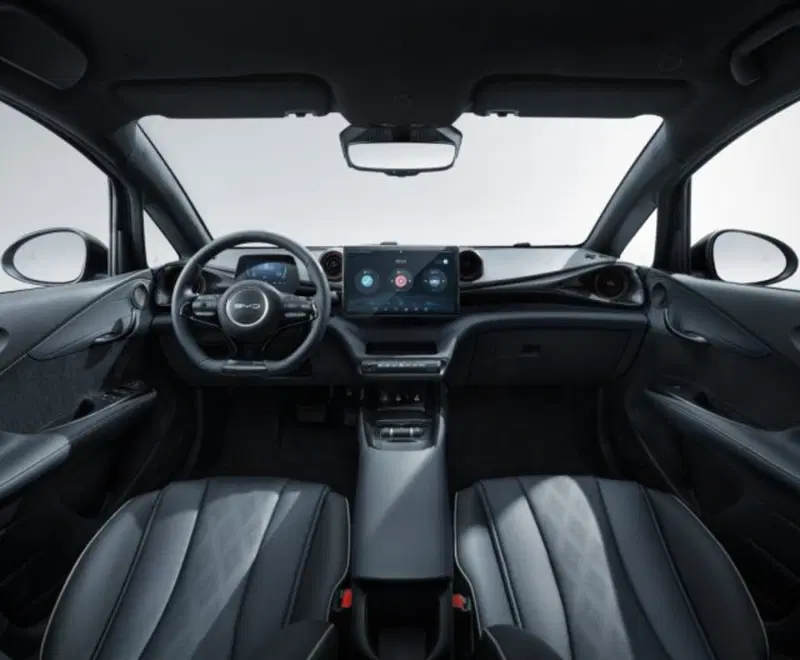 Byd Dolphin Surf nuova a Torino (3)