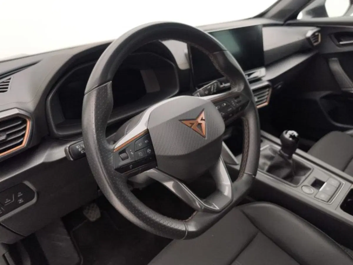 Cupra Formentor usata a Torino (10)
