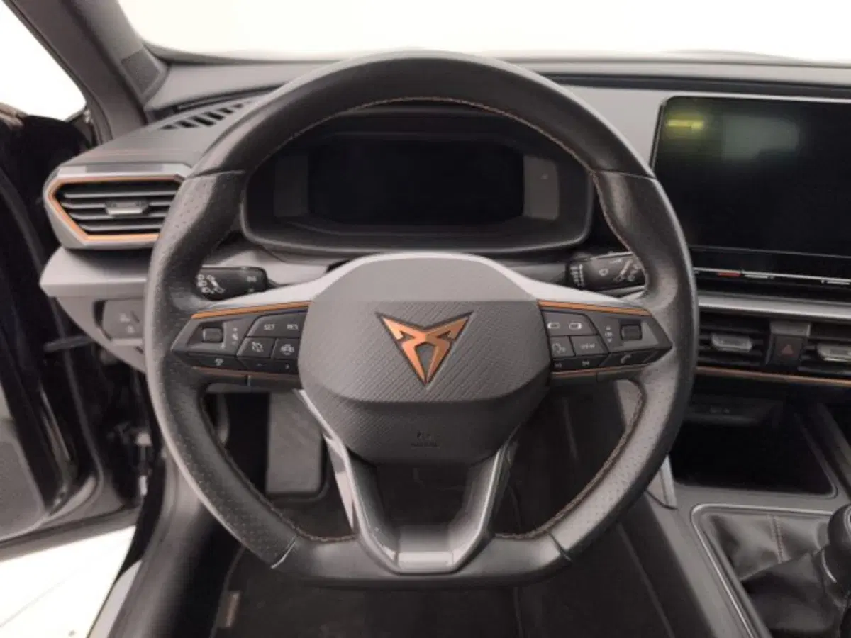 Cupra Formentor usata a Torino (12)