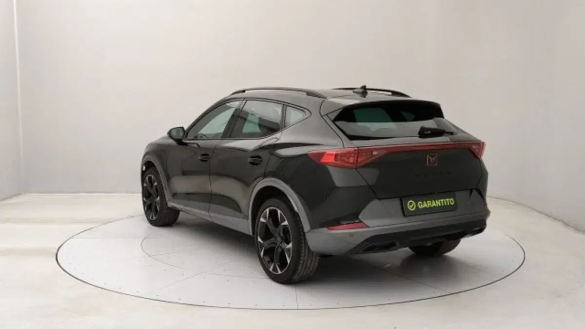 Cupra Formentor usata a Torino (3)