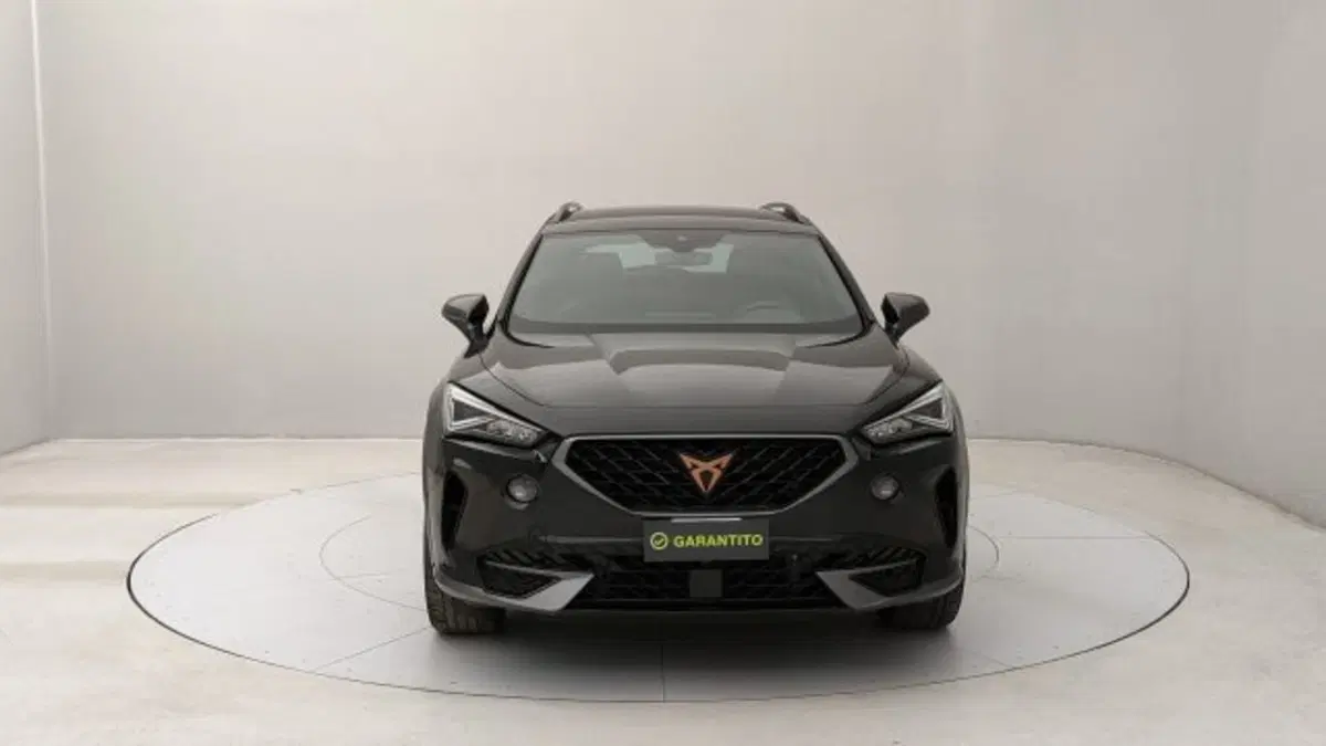 Cupra Formentor usata a Torino (8)