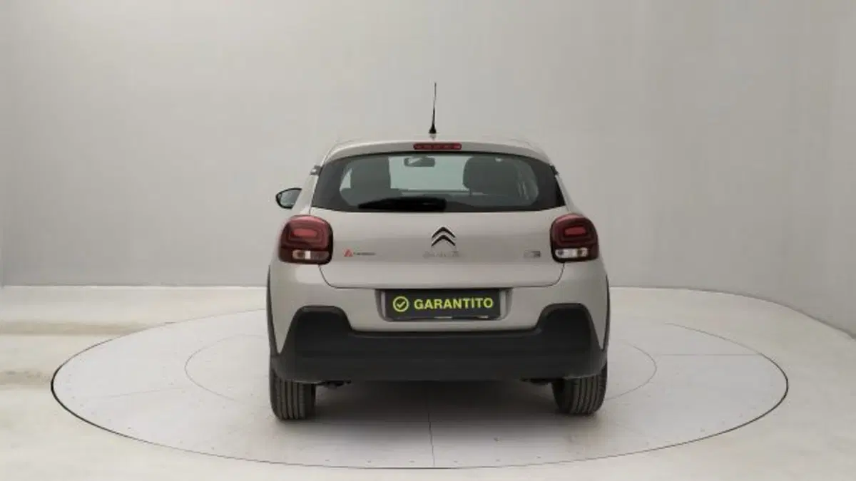 Citroen C3 usata a Torino (4)