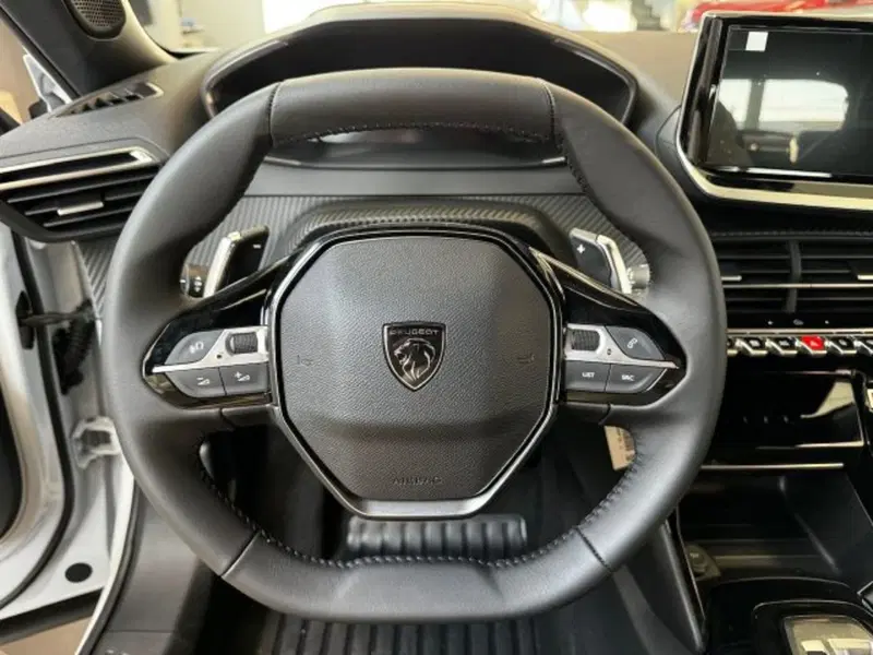 Peugeot 2008 nuova a Torino (8)
