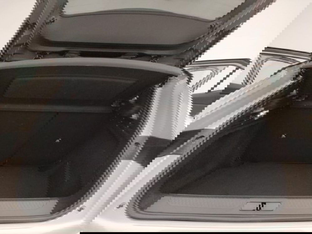 Ds DS 4 usata a Torino (15)