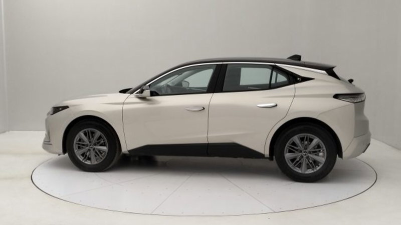 Ds DS 4 usata a Torino (4)