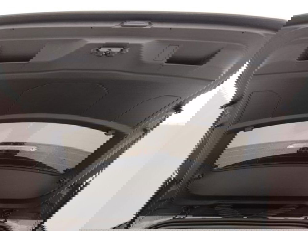 Ds DS 4 usata a Torino (20)