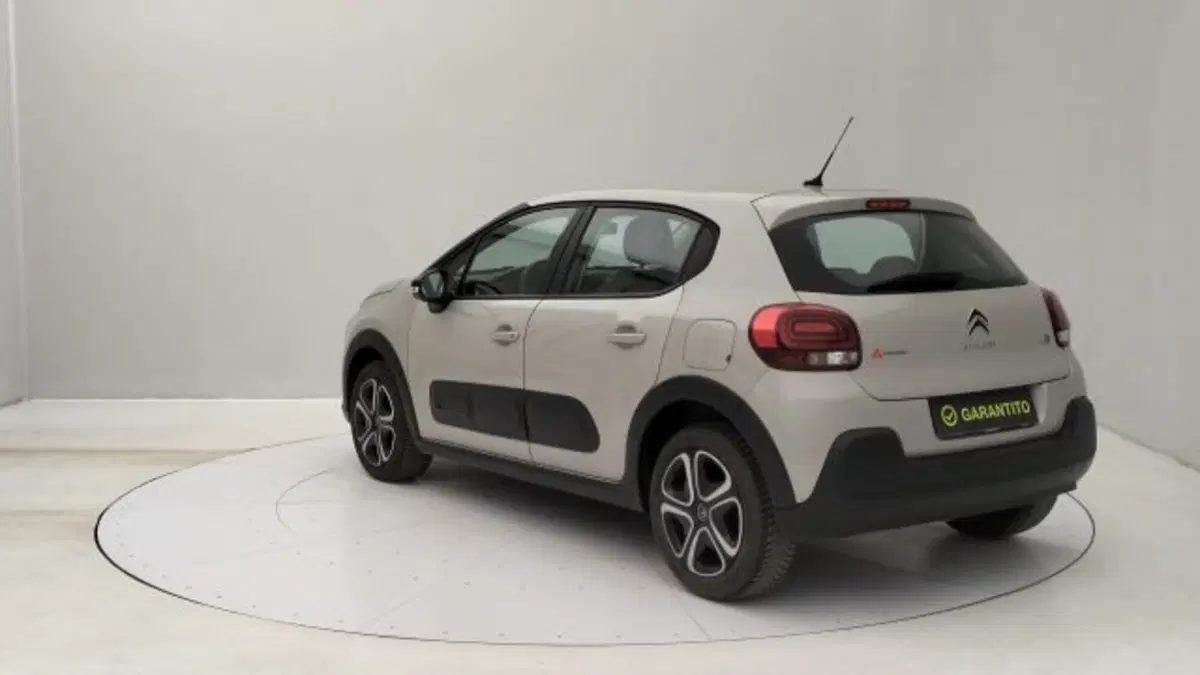 Citroen C3 usata a Torino (3)