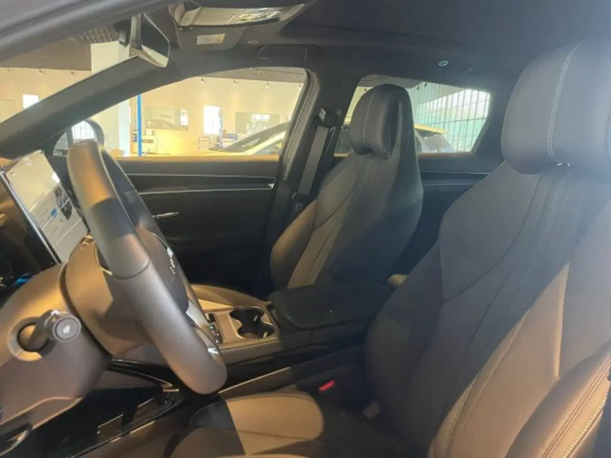 Byd Seal U  usata a Torino (9)