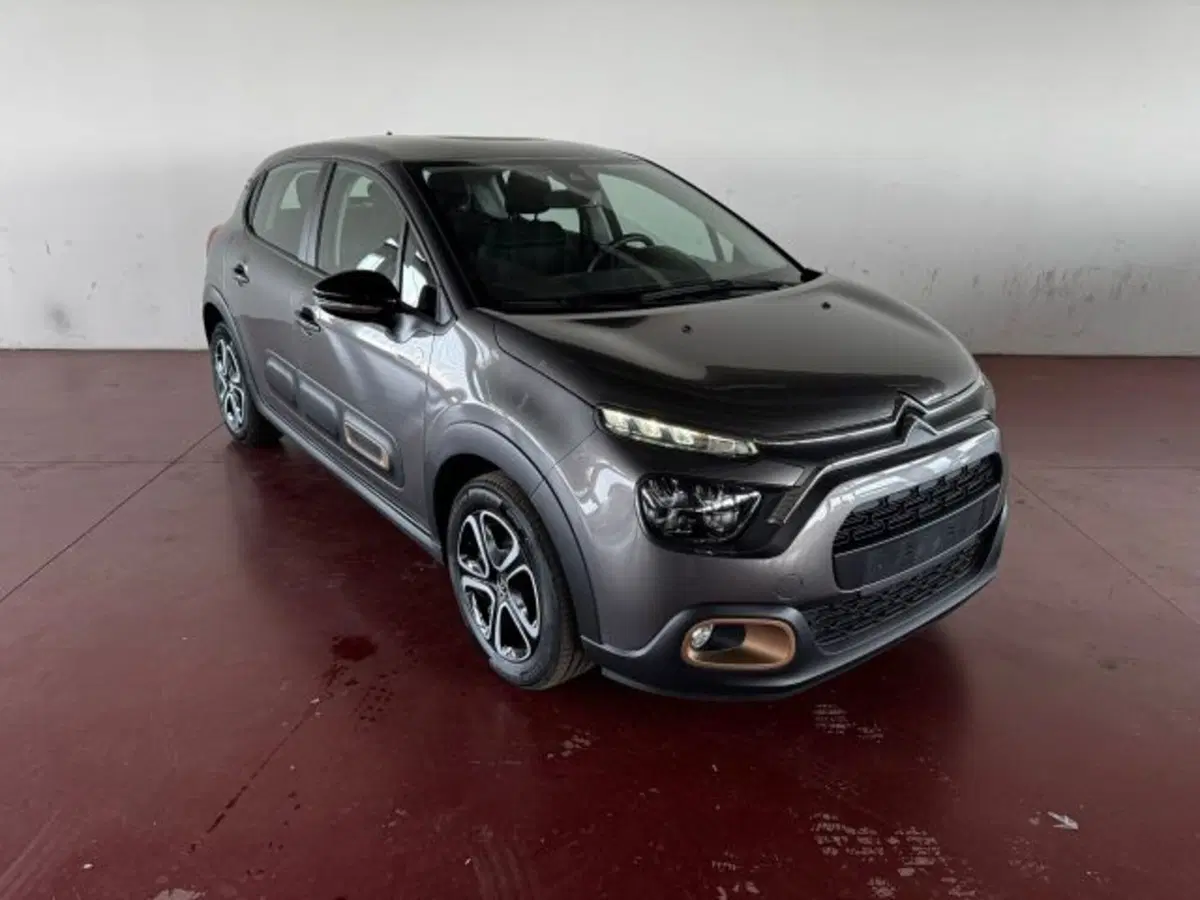 Citroen C3 usata a Torino (7)