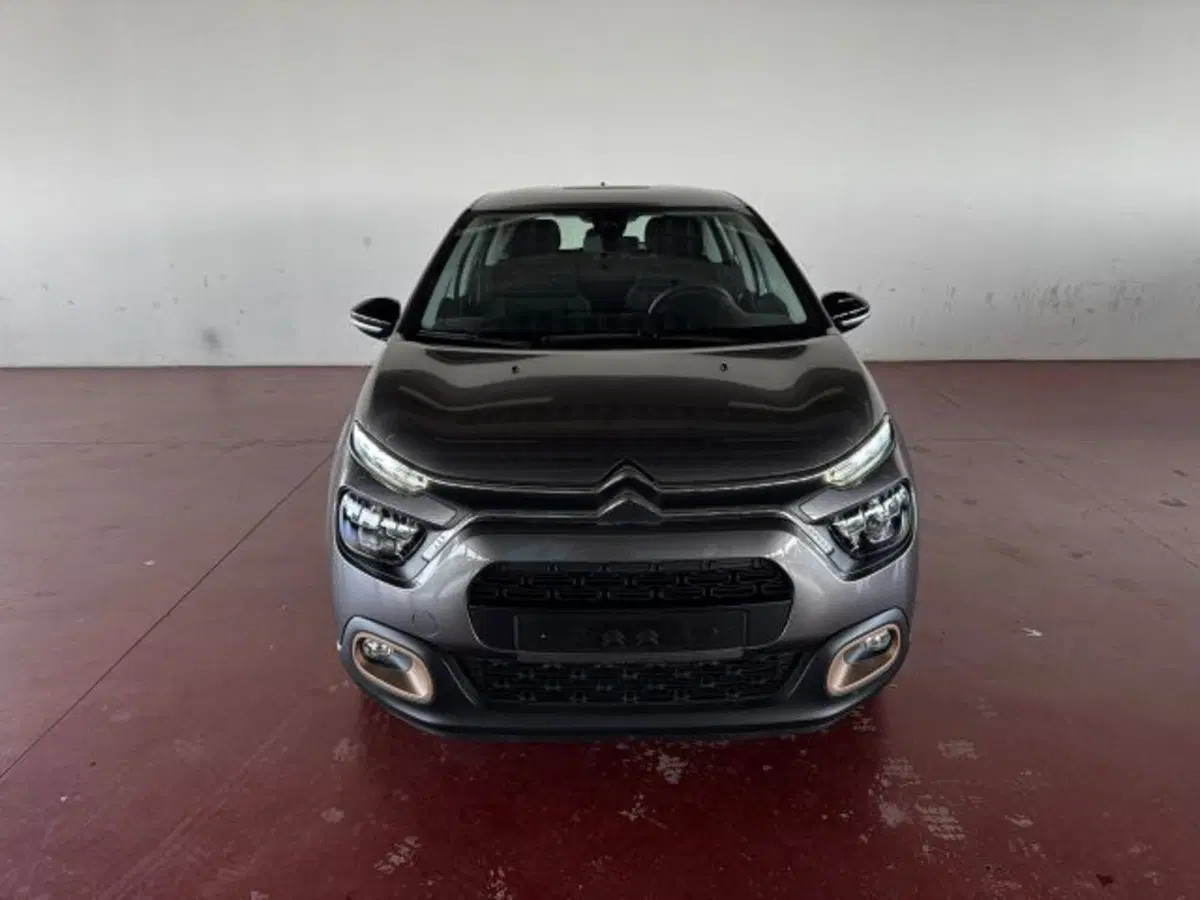 Citroen C3 usata a Torino (8)