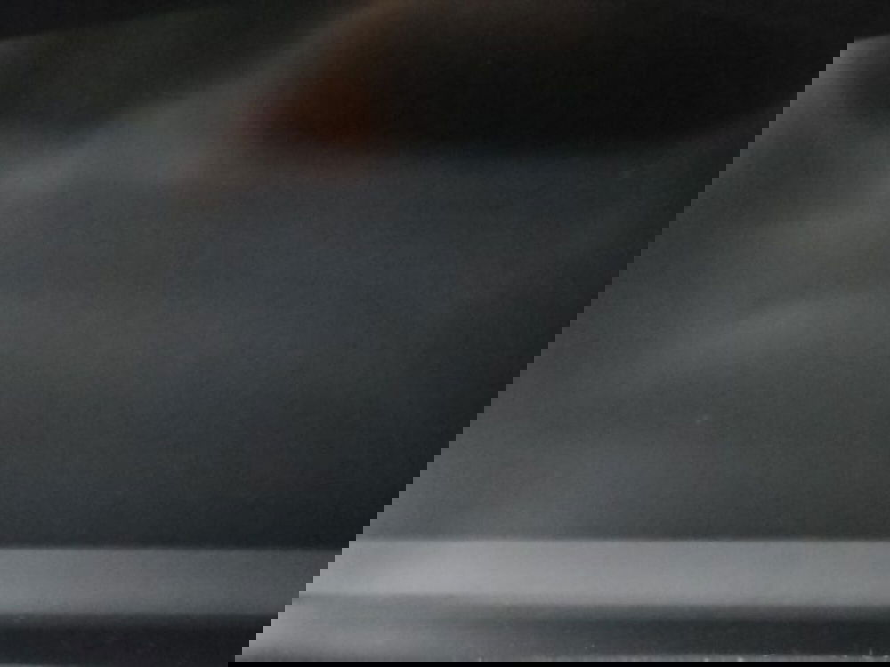 Ford Kuga usata a Torino (14)