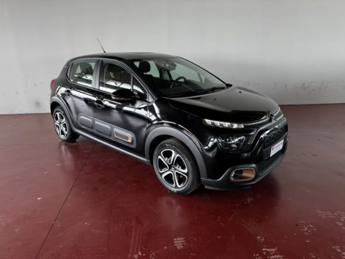Citroen C3 usata a Torino (7)
