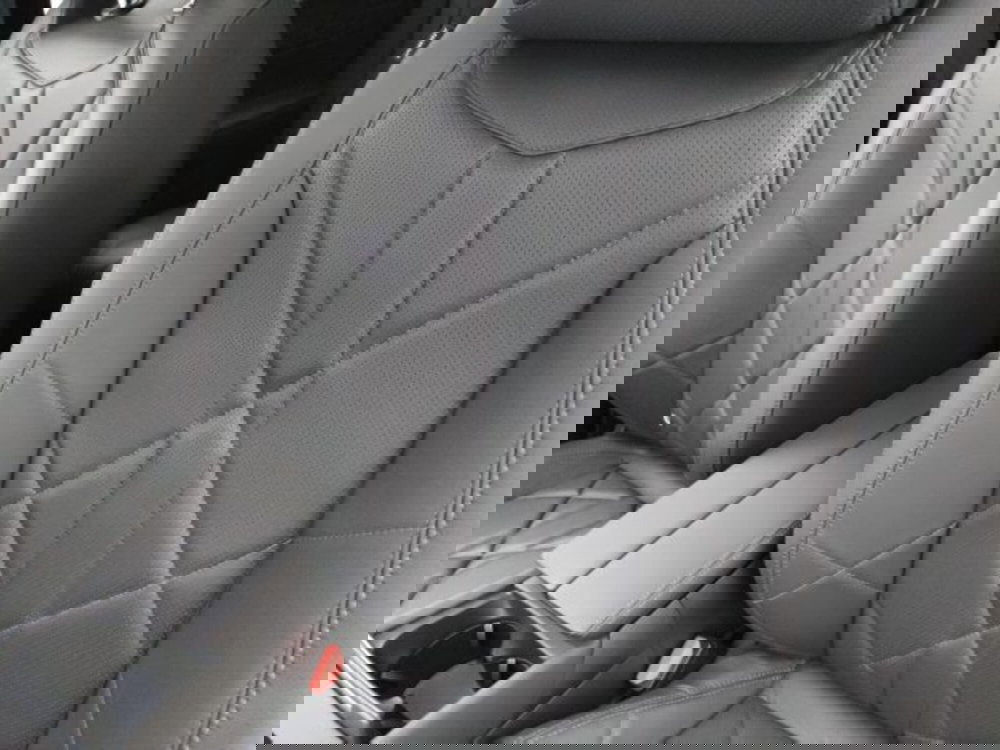 Ds DS 9 usata a Torino (11)