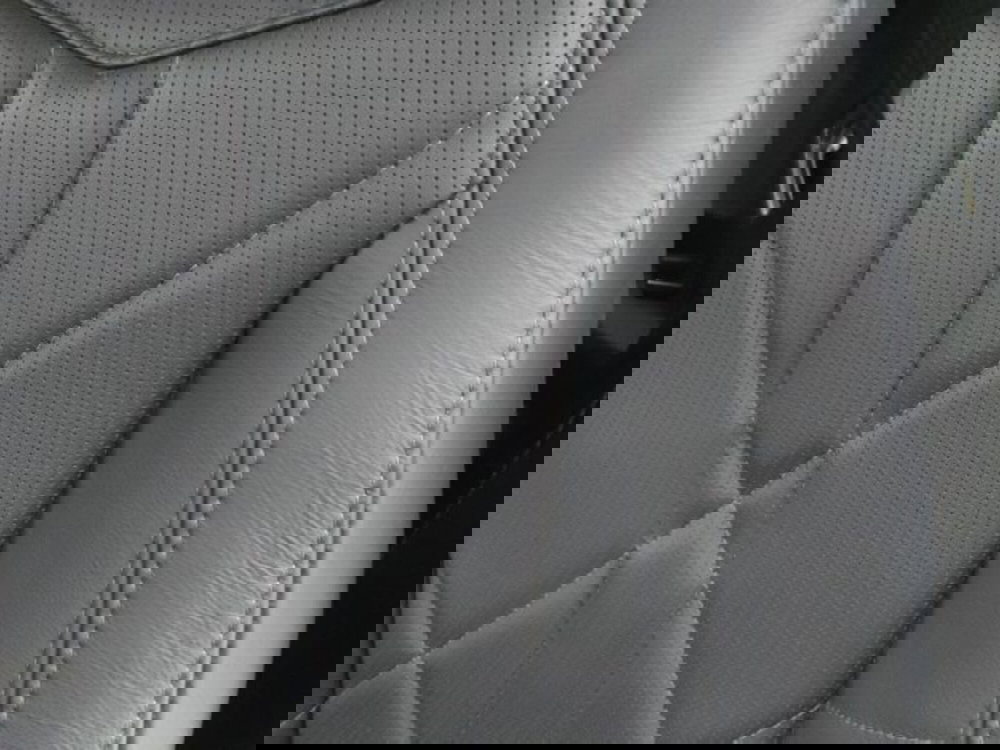 Ds DS 9 usata a Torino (12)