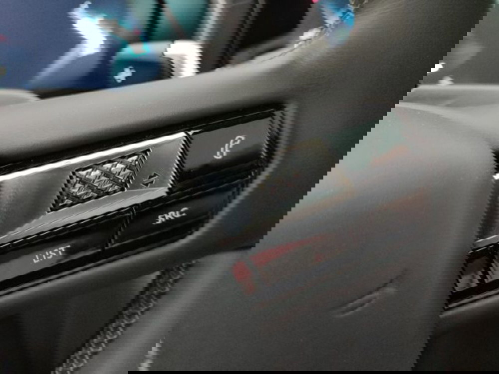 Ds DS 9 usata a Torino (19)