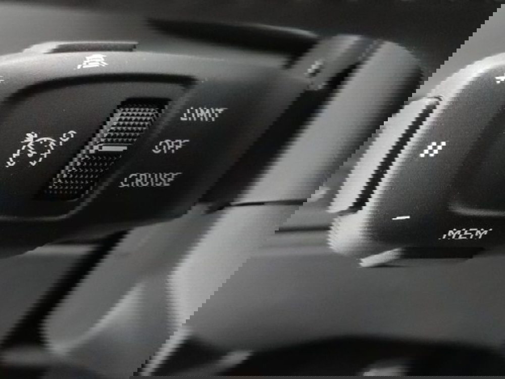 Ds DS 9 usata a Torino (20)