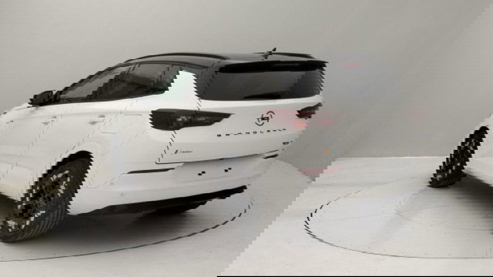 Opel Grandland nuova a Torino (3)