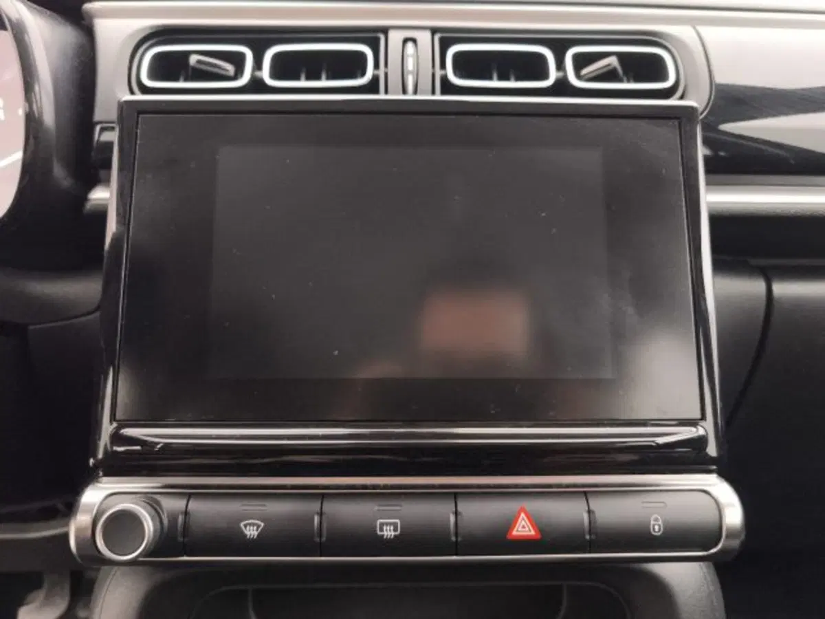 Citroen C3 usata a Torino (14)