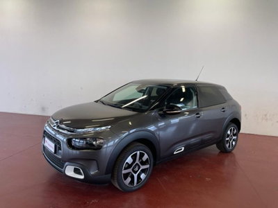 Citroen C4 Cactus PureTech 110 S&amp;S Feel del 2020 usata a Torino