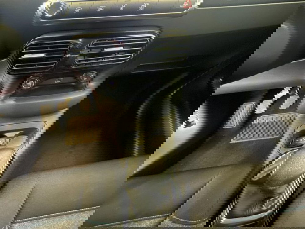 Citroen C4 Cactus usata a Torino (20)