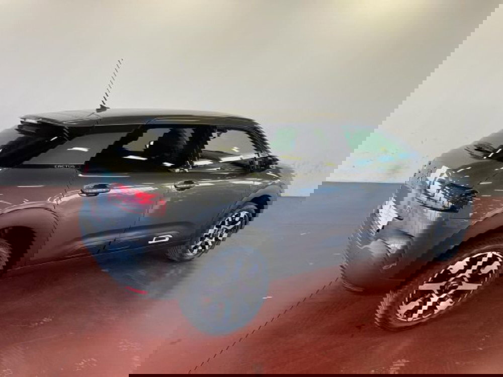 Citroen C4 Cactus usata a Torino (5)