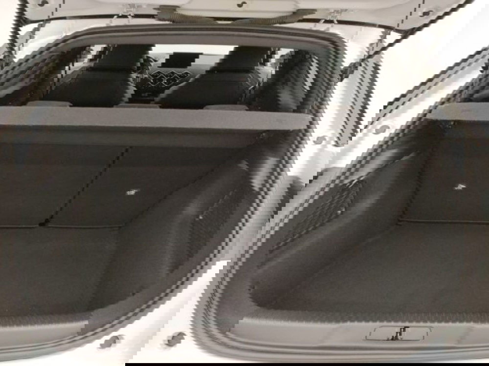 Ds DS 3 usata a Torino (17)