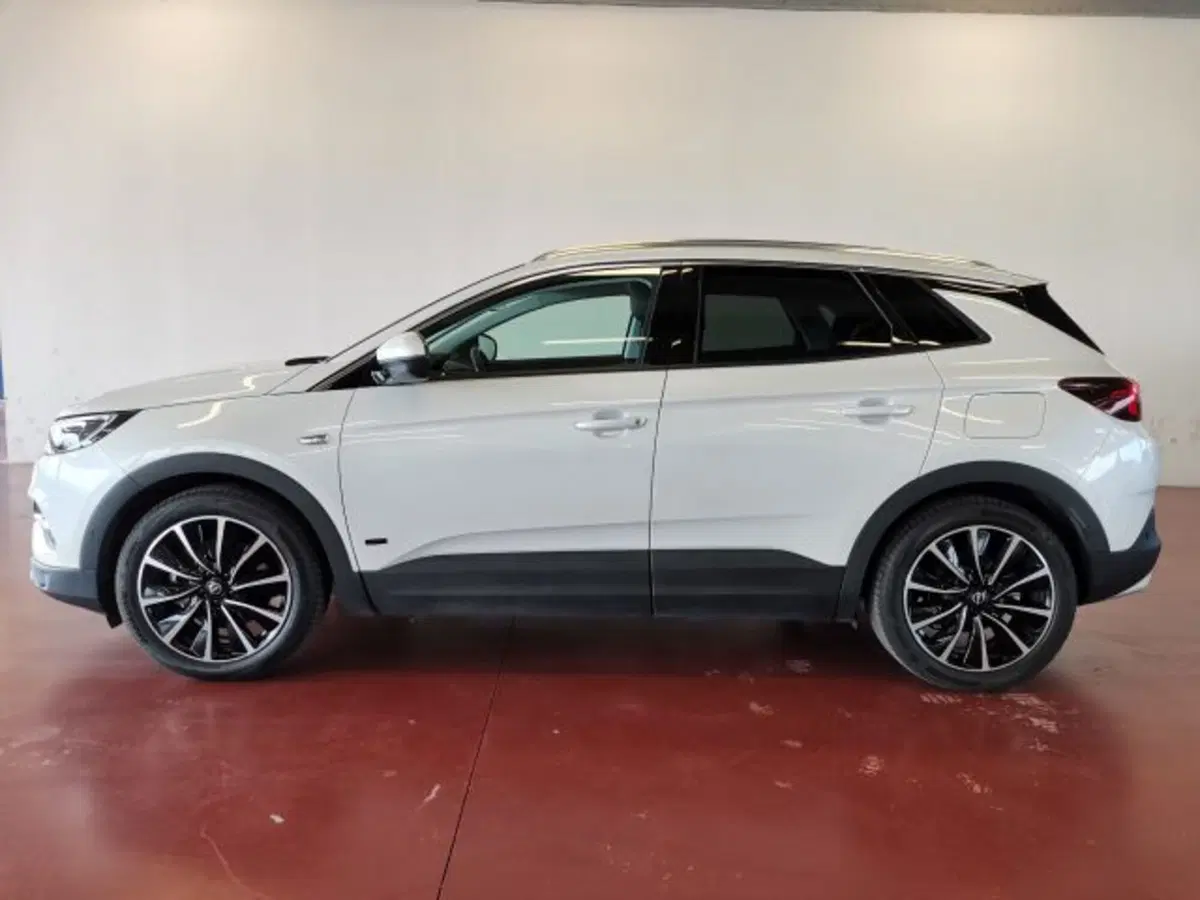 Opel Grandland X usata a Torino (2)
