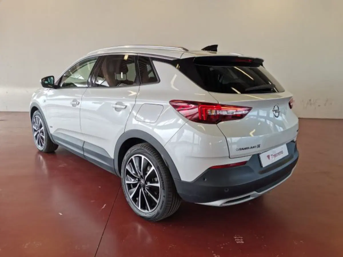 Opel Grandland X usata a Torino (3)