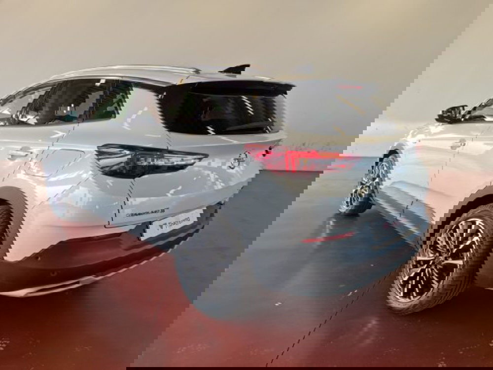 Opel Grandland X usata a Torino (3)