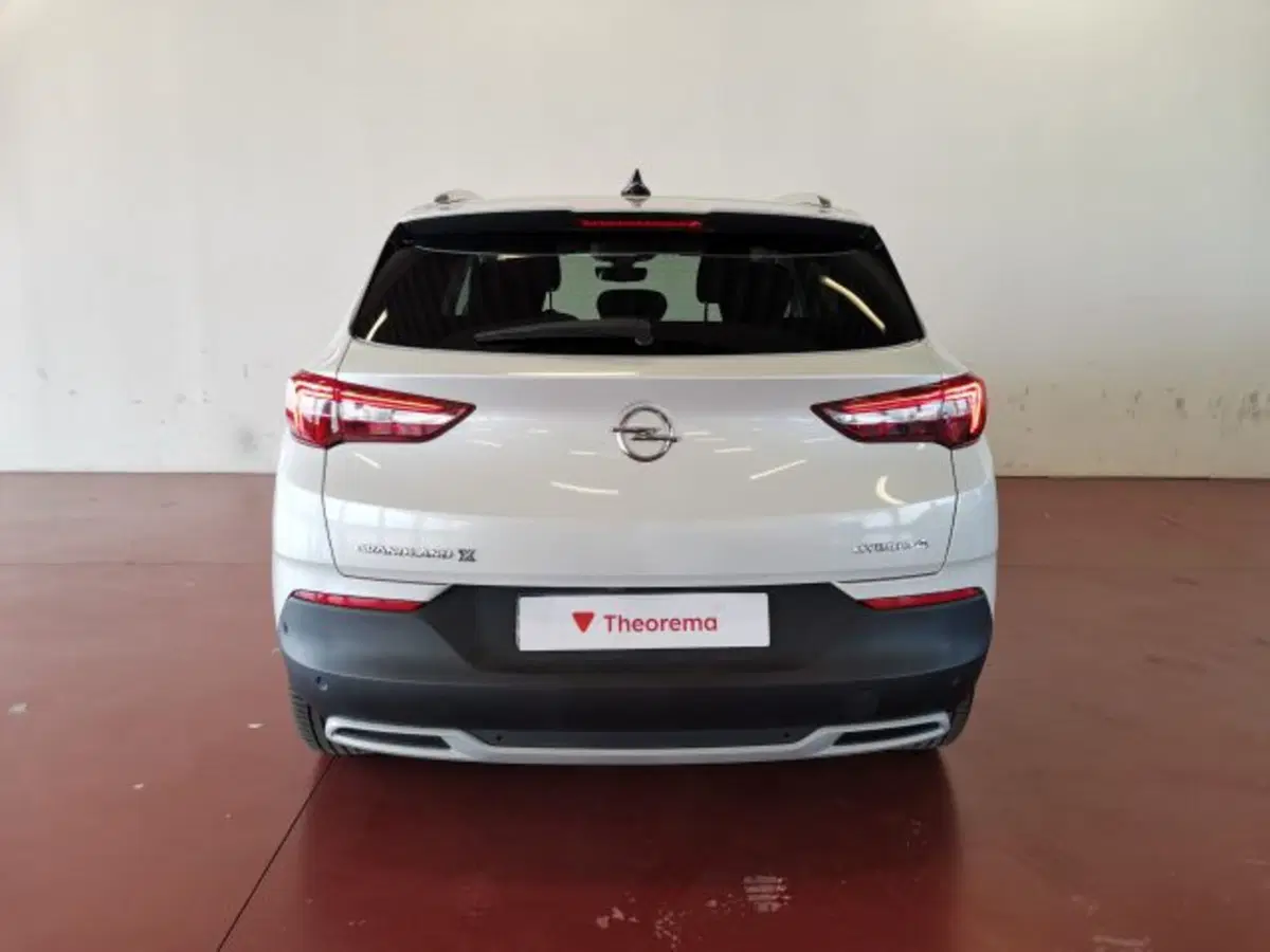 Opel Grandland X usata a Torino (4)
