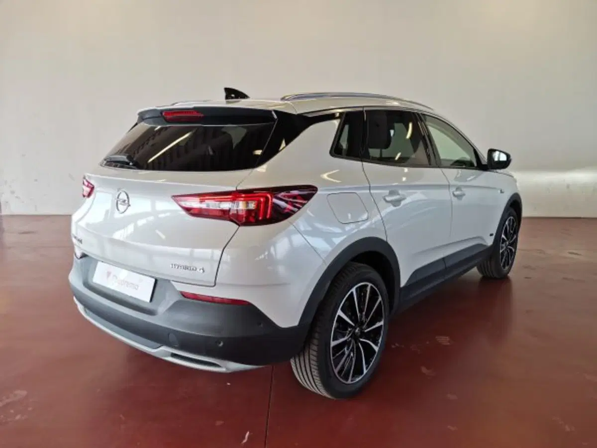 Opel Grandland X usata a Torino (6)