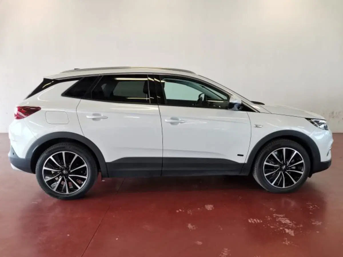 Opel Grandland X usata a Torino (7)
