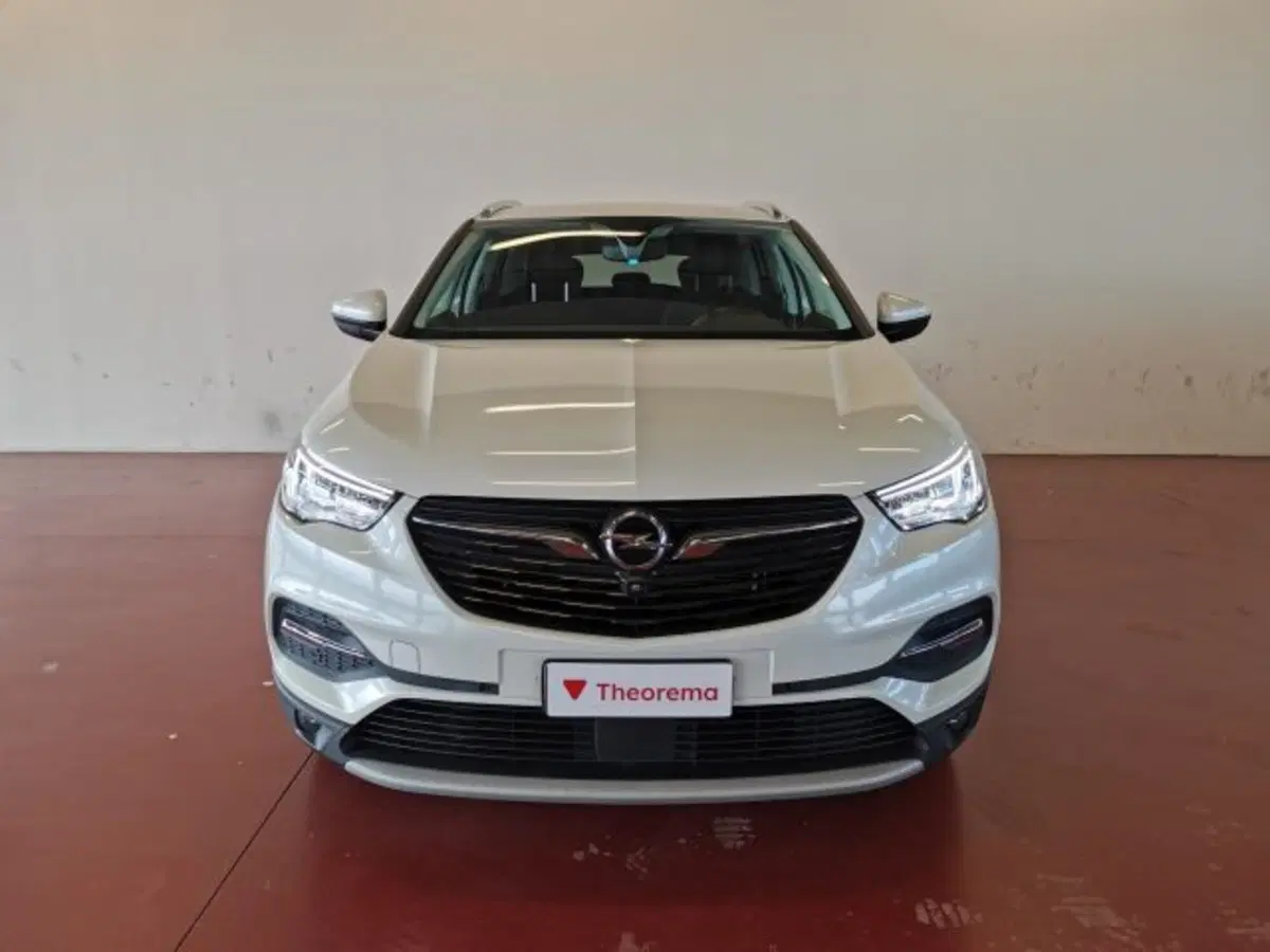Opel Grandland X usata a Torino (8)