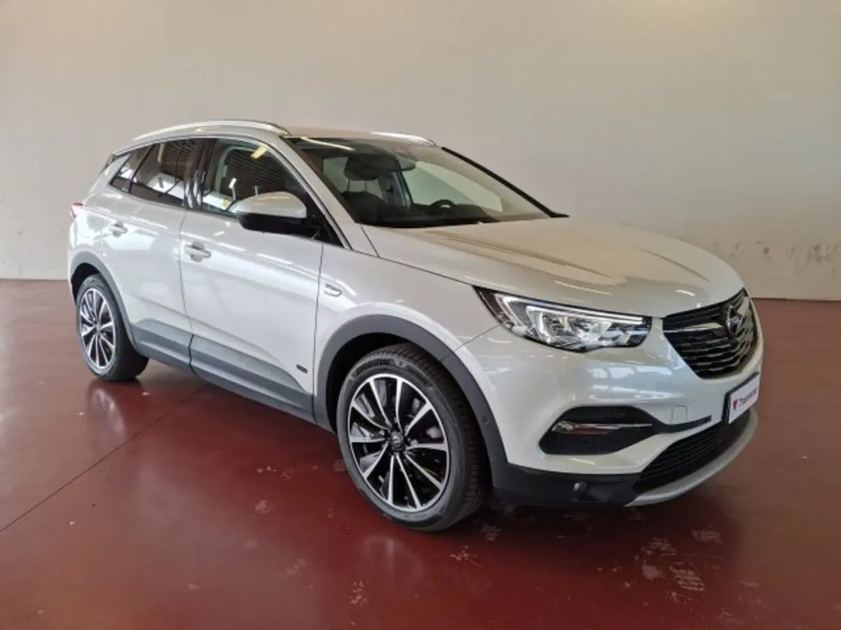 Opel Grandland X usata a Torino (9)