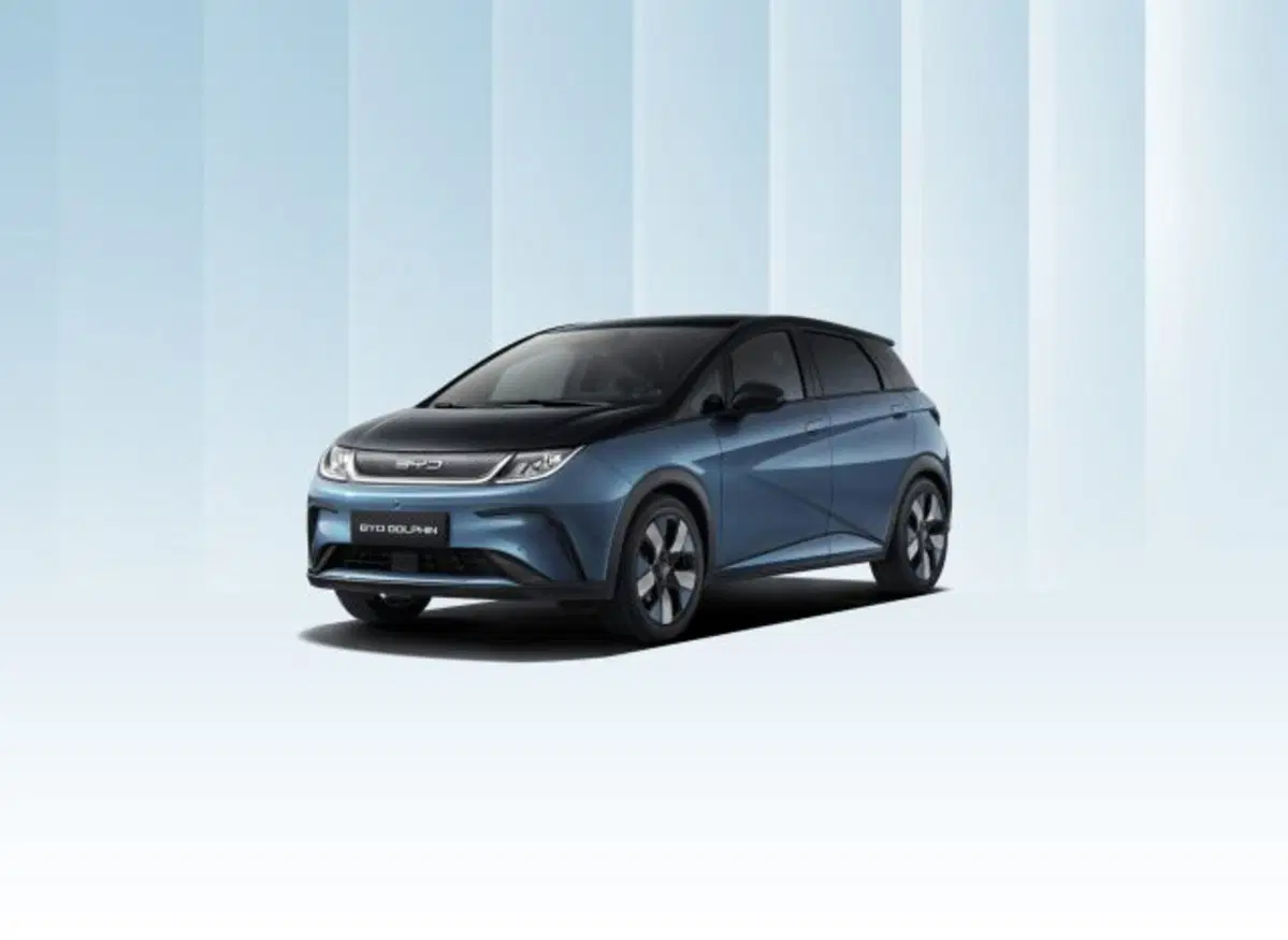 Byd Dolphin Surf nuova a Torino