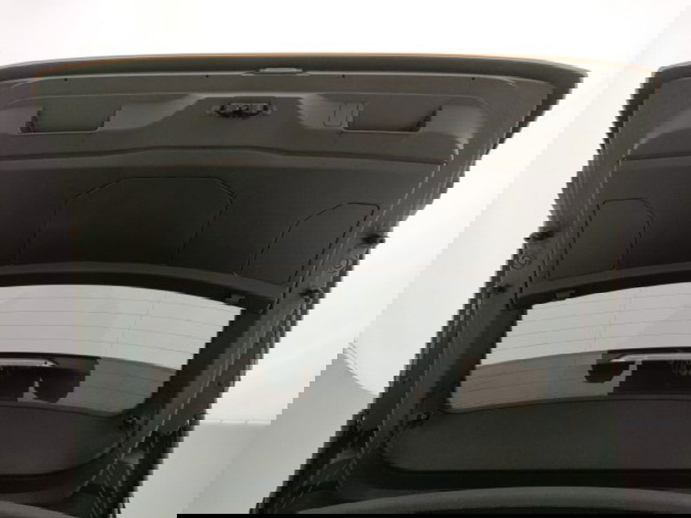 Ds DS 4 usata a Torino (19)