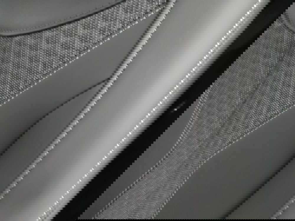 Ds DS 4 usata a Torino (12)