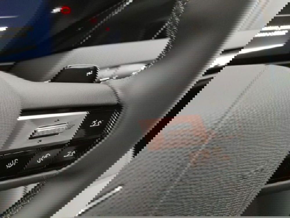 Ds DS 4 usata a Torino (16)